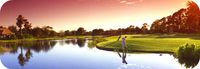 Golf Sunset_0ee1fc21-2279-4d15-8653-29c87b72c45eBEARB1